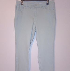 Style & Co skinny jean